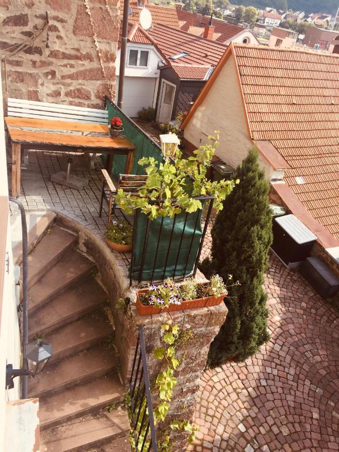 Neckarblick,Natur, Altstadt Hirschhorn Exterior foto