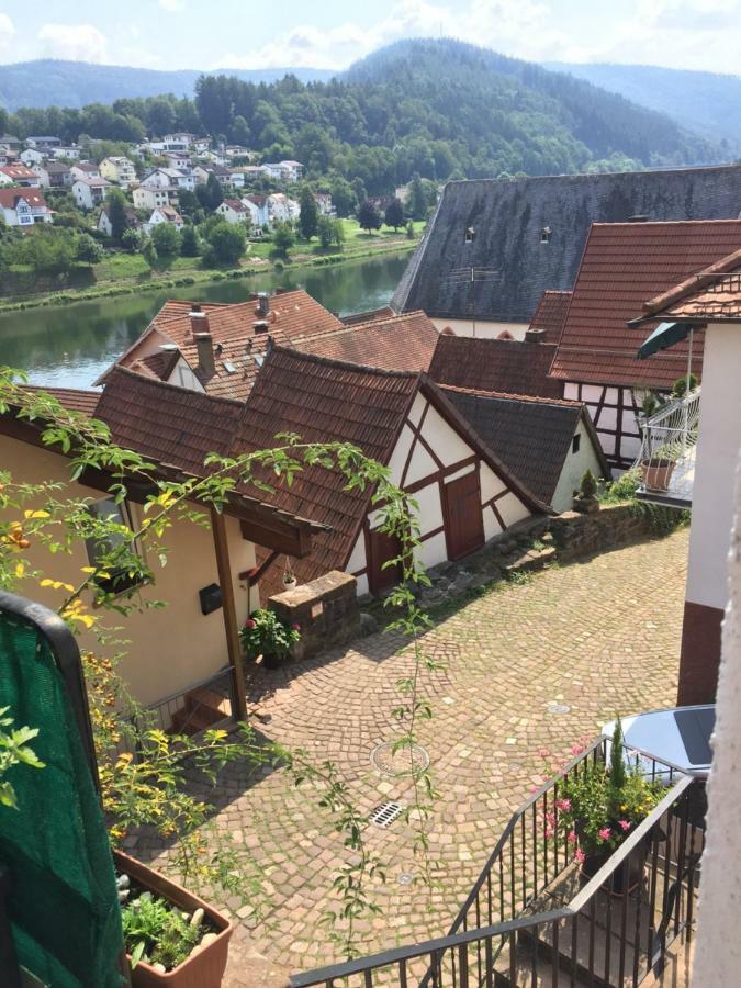 Neckarblick,Natur, Altstadt Hirschhorn Exterior foto
